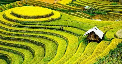 Freelancer Và Cơ Hội Kiếm Tiền Từ Nền Tảng Hotspot Matrix_Chiến lược tiếp thị kỹ thuật số